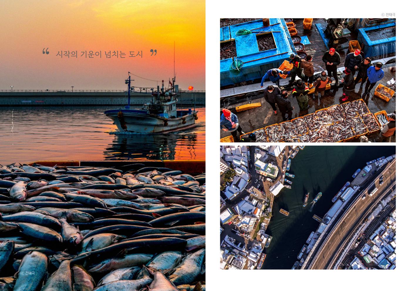 속초살이 이모저모 49페이지