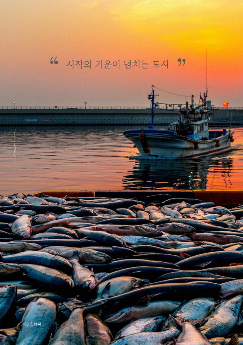 속초살이 이모저모(페이지 형식) 94페이지