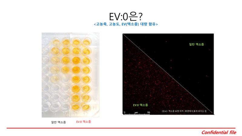 이브이영 제품 소개서 10페이지