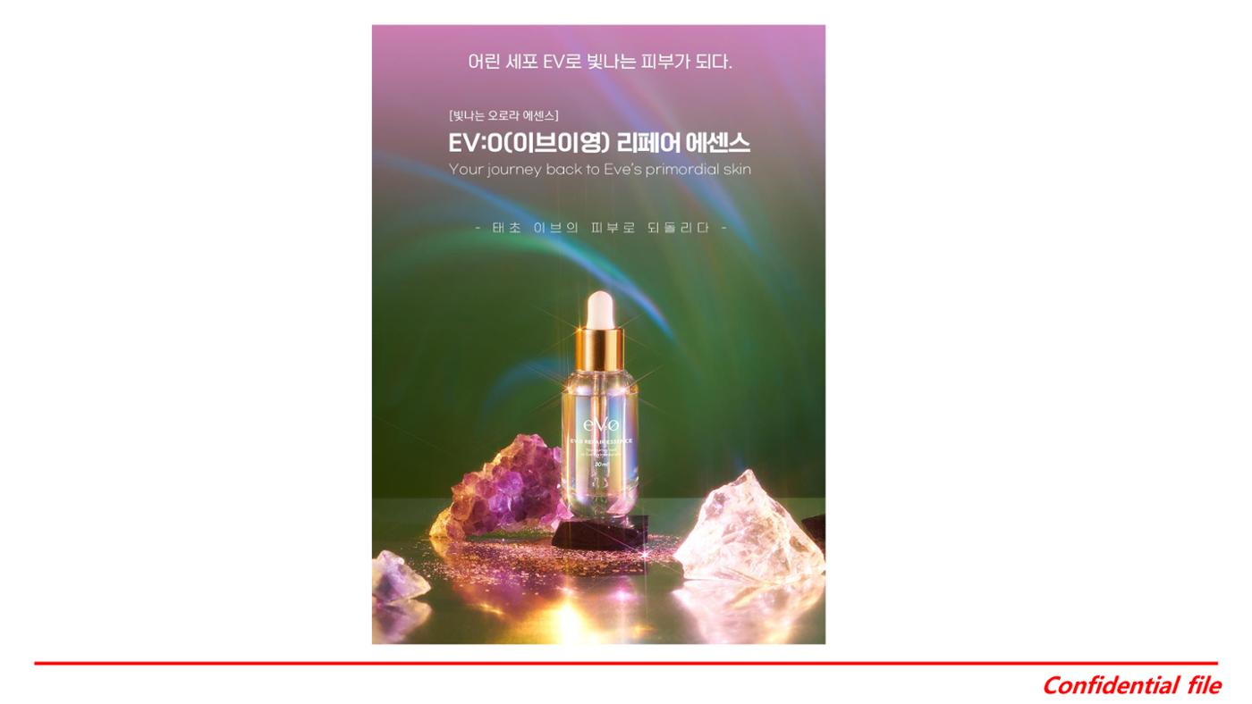 이브이영 제품 소개서 1페이지