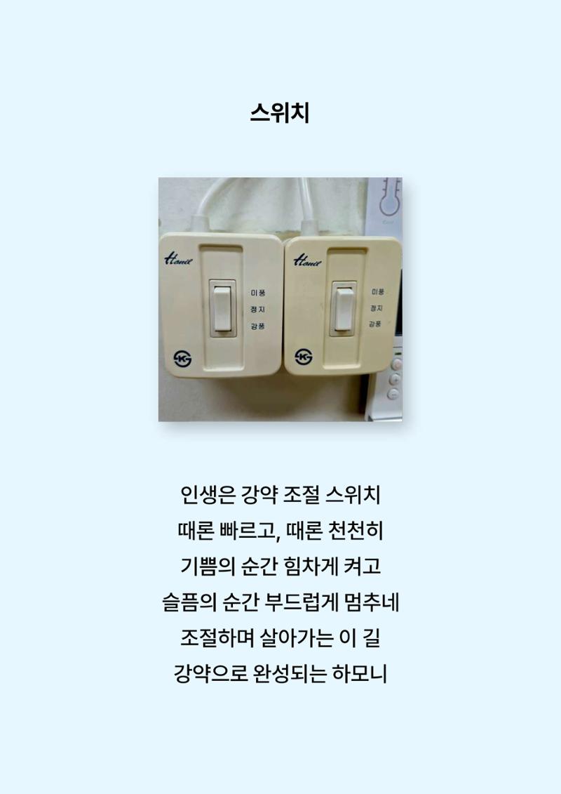 2024년 소하노인종합복지관 하계실습 디카시 13페이지