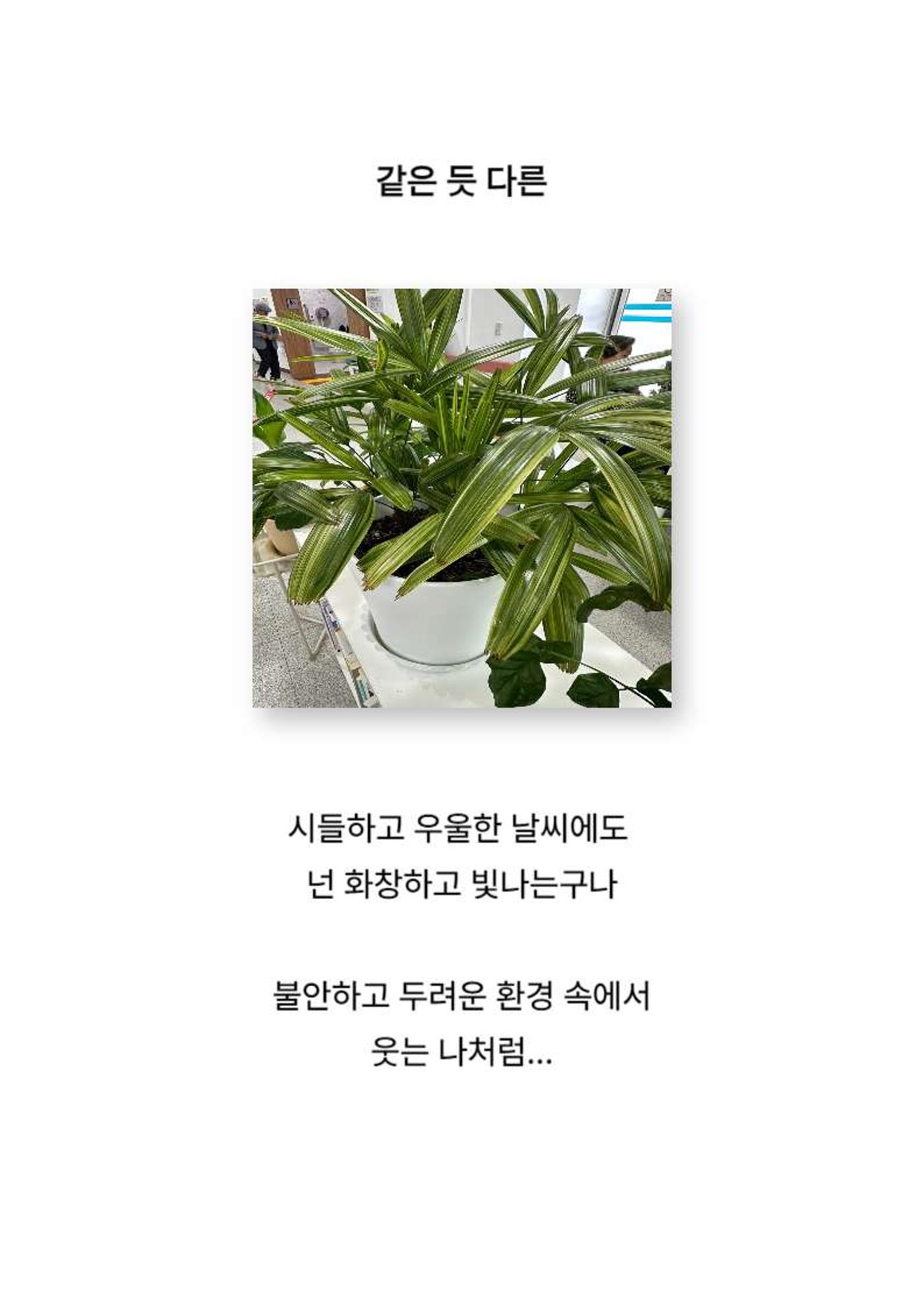 2024년 소하노인종합복지관 하계실습 디카시 63페이지