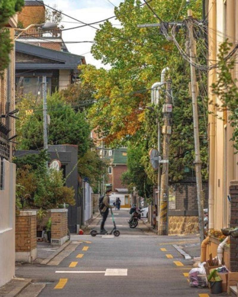 한국갬성사진 65페이지
