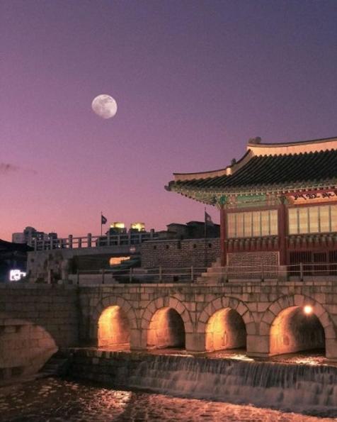 한국갬성사진 74페이지