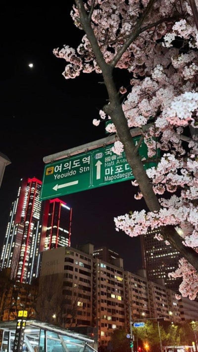 한국갬성사진 18페이지