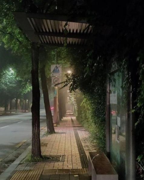 한국갬성사진 1페이지