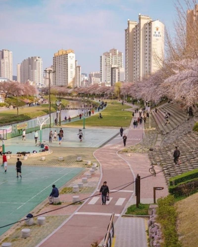 한국갬성사진 67페이지