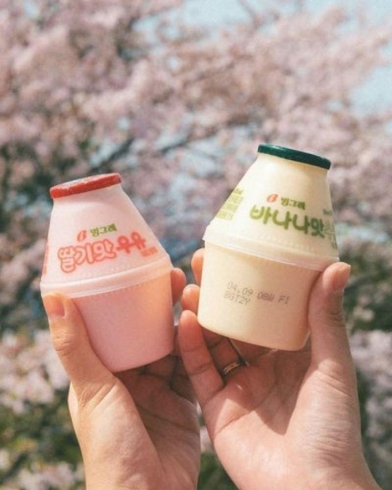 한국갬성사진 31페이지