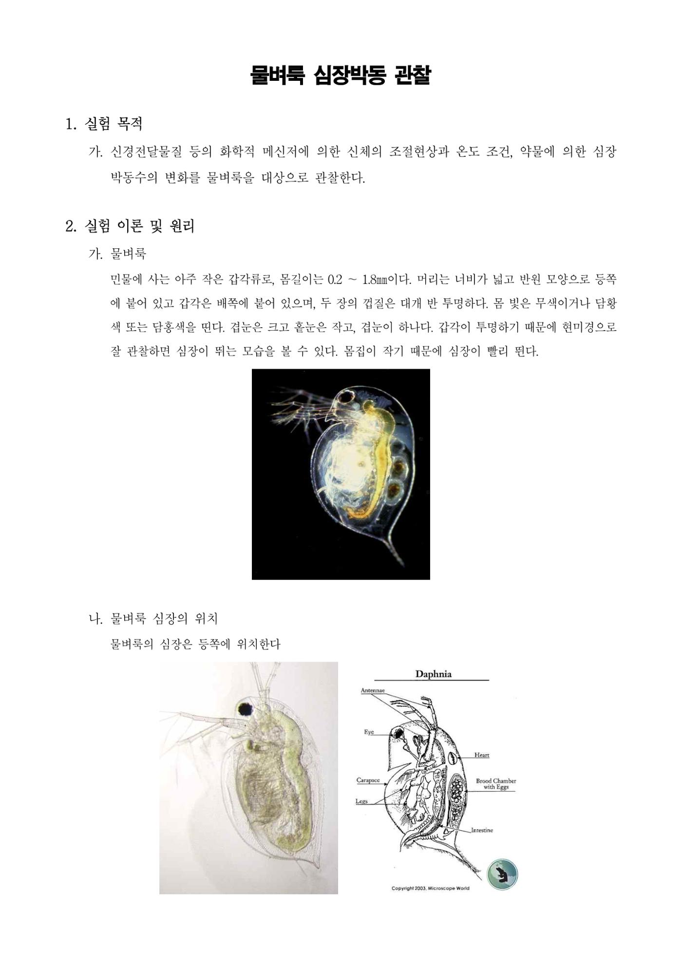 일반생물학실험물벼룩 심장박동 관찰 1페이지