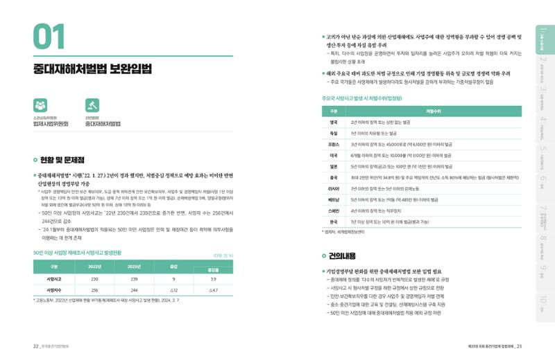 제22대 국회 중견기업계 입법과제 12페이지