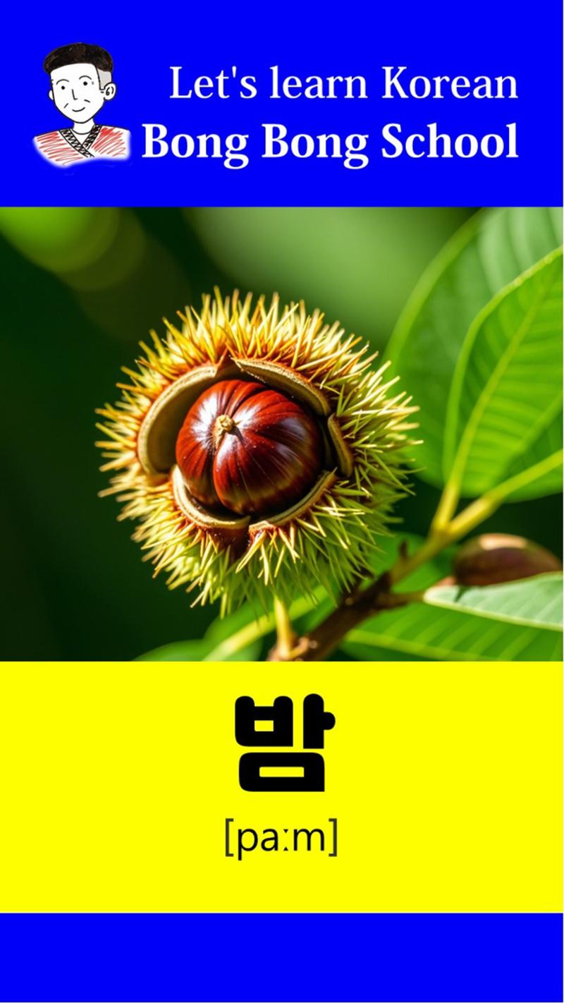 과일카드 2페이지