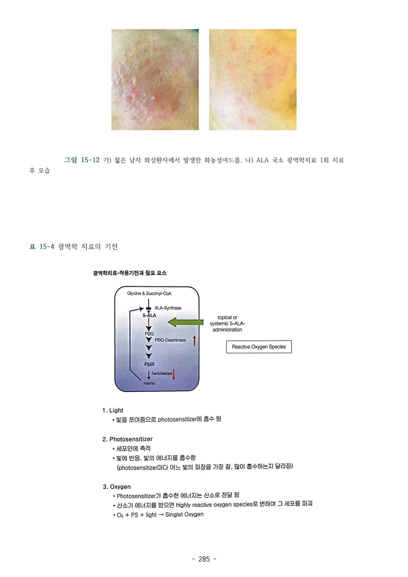 5차산업 융합의 시대 반드시 필요한 바이오모듈레이션 288페이지