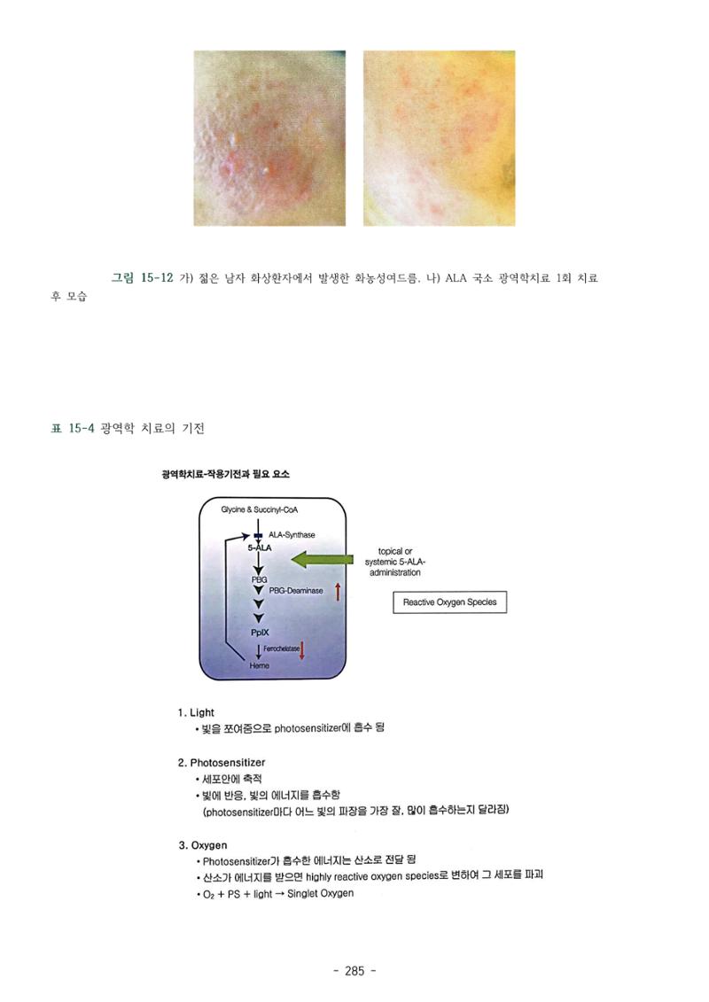 5차산업 융합의 시대 반드시 필요한 바이오모듈레이션 288페이지