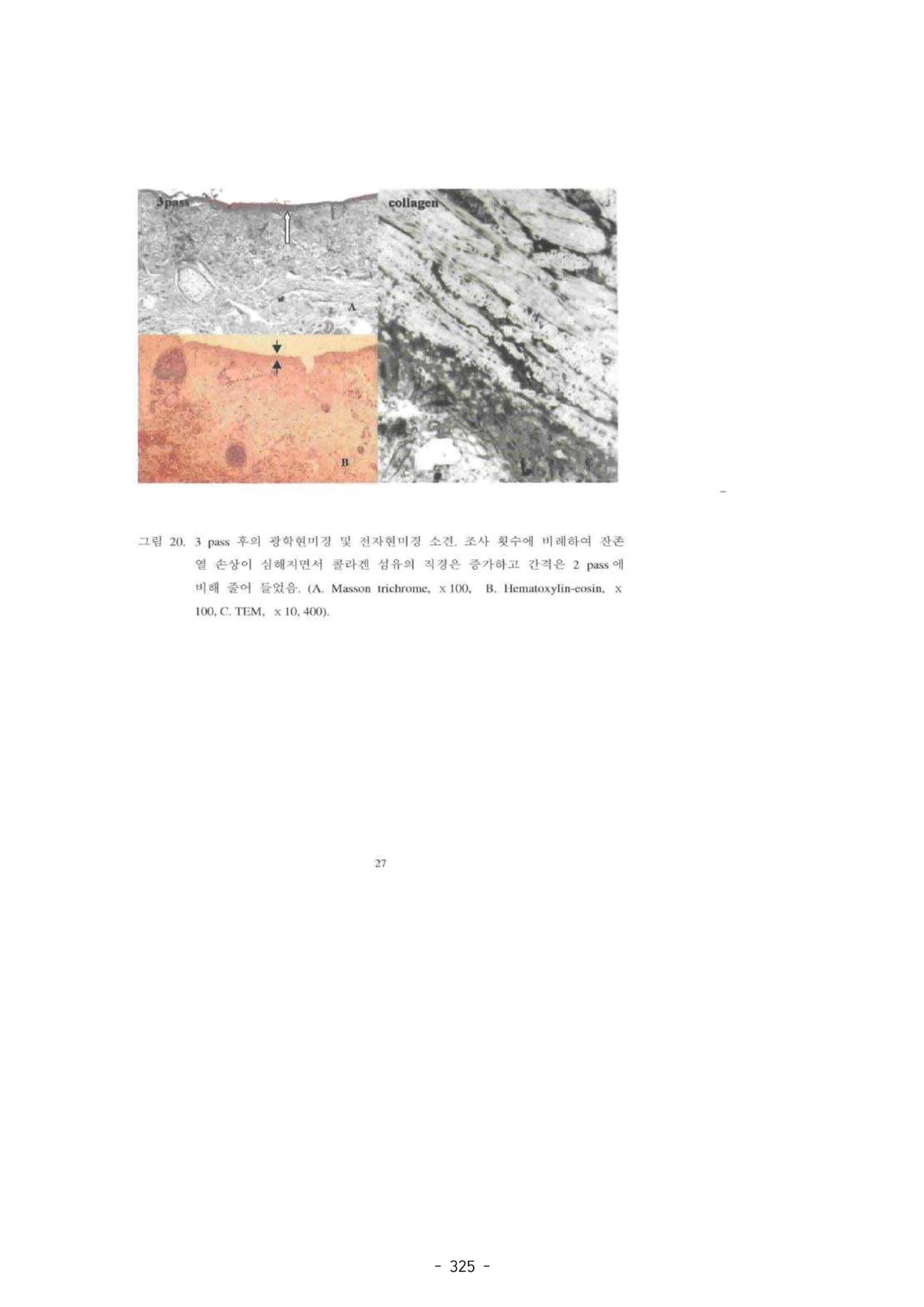 5차산업 융합의 시대 반드시 필요한 바이오모듈레이션 328페이지