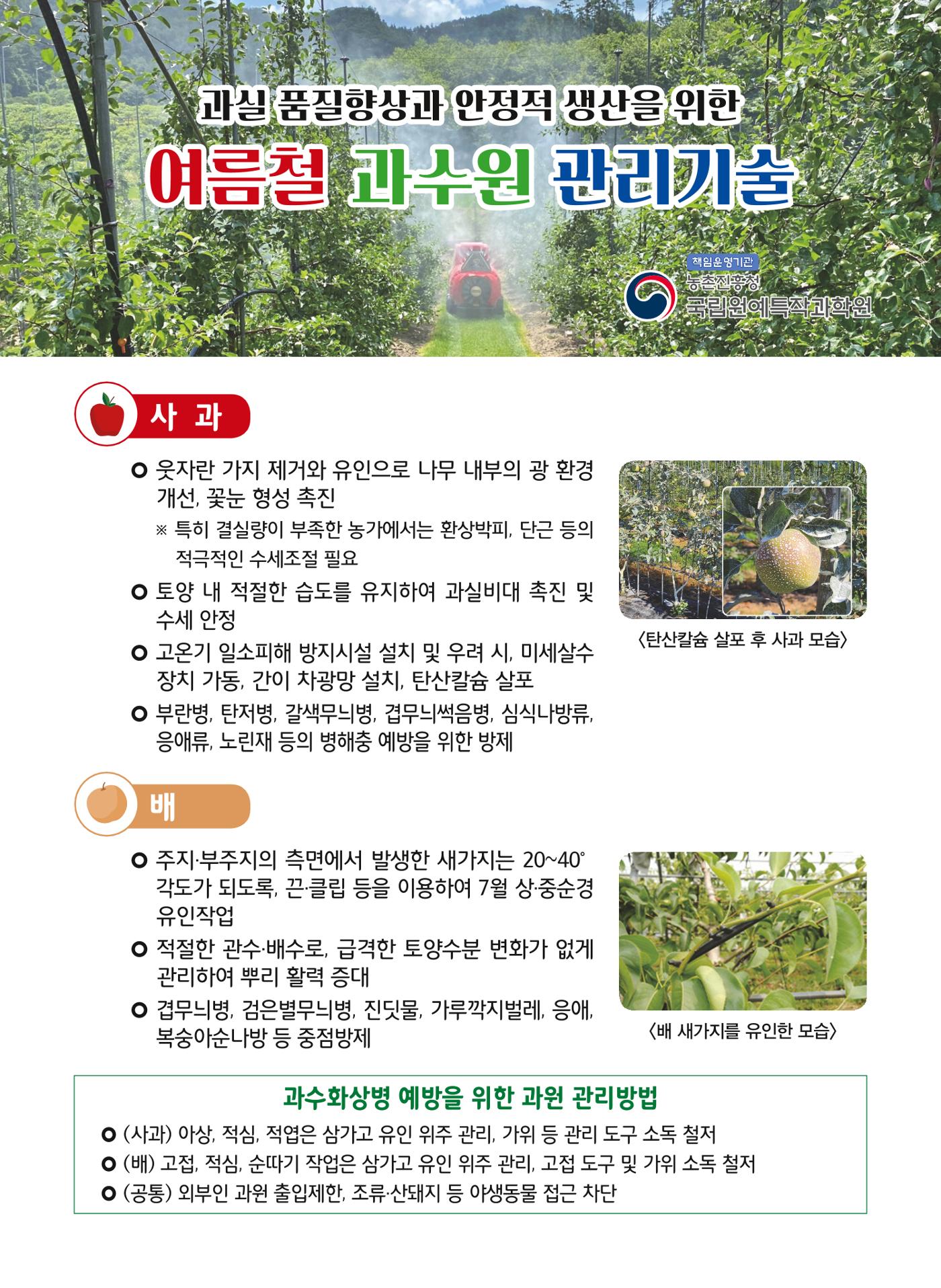 여름철 과수원관리 1페이지