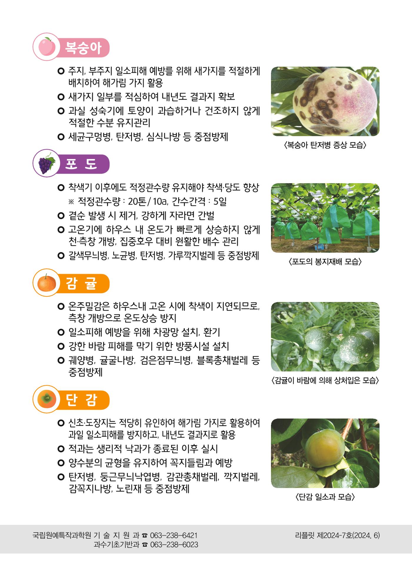 여름철 과수원관리 2페이지