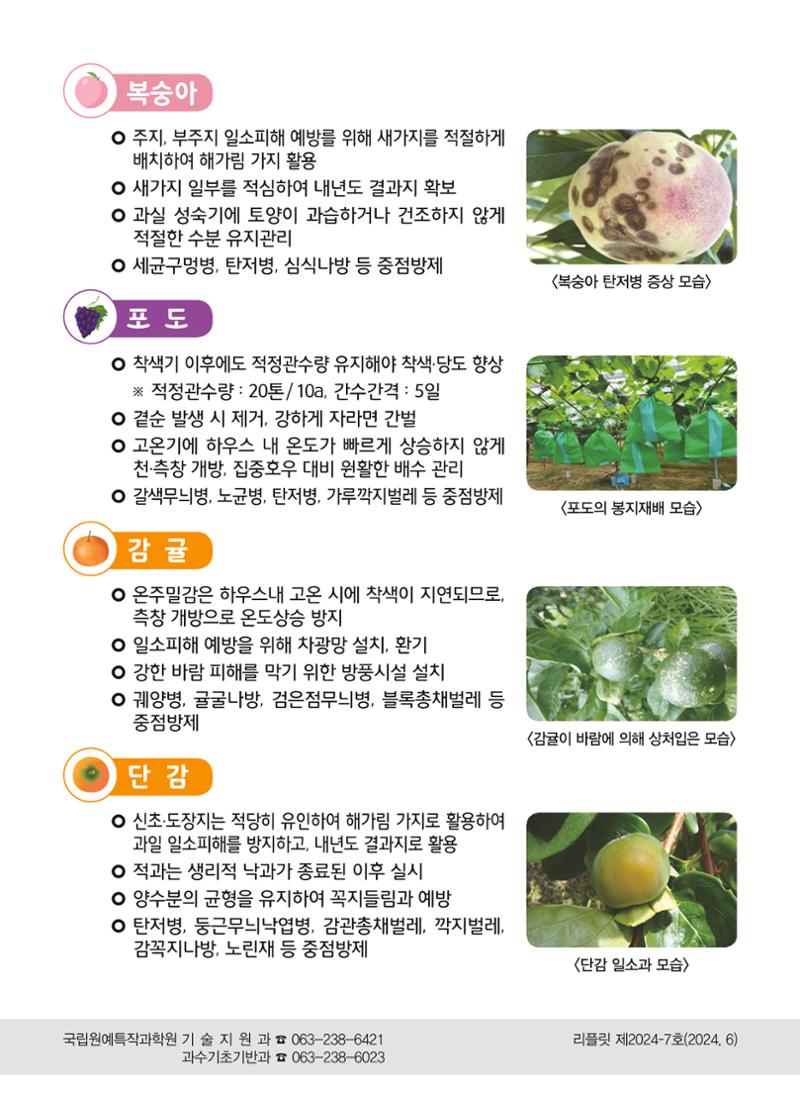 여름철 과수원관리 2페이지