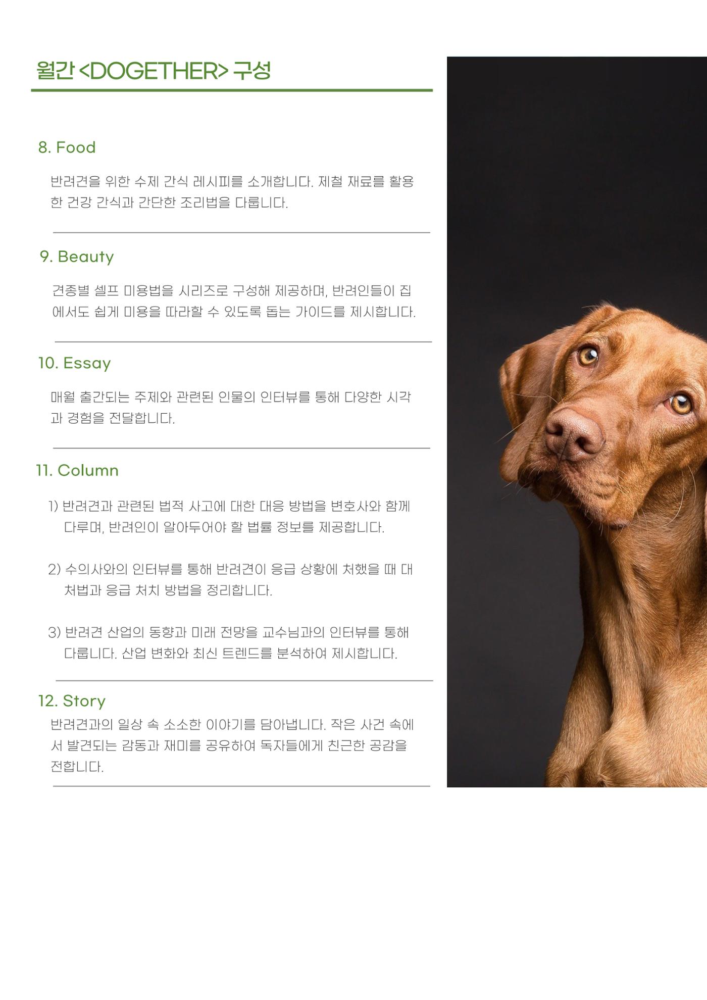 [월간 DOGETHER] 매체소개서 6페이지