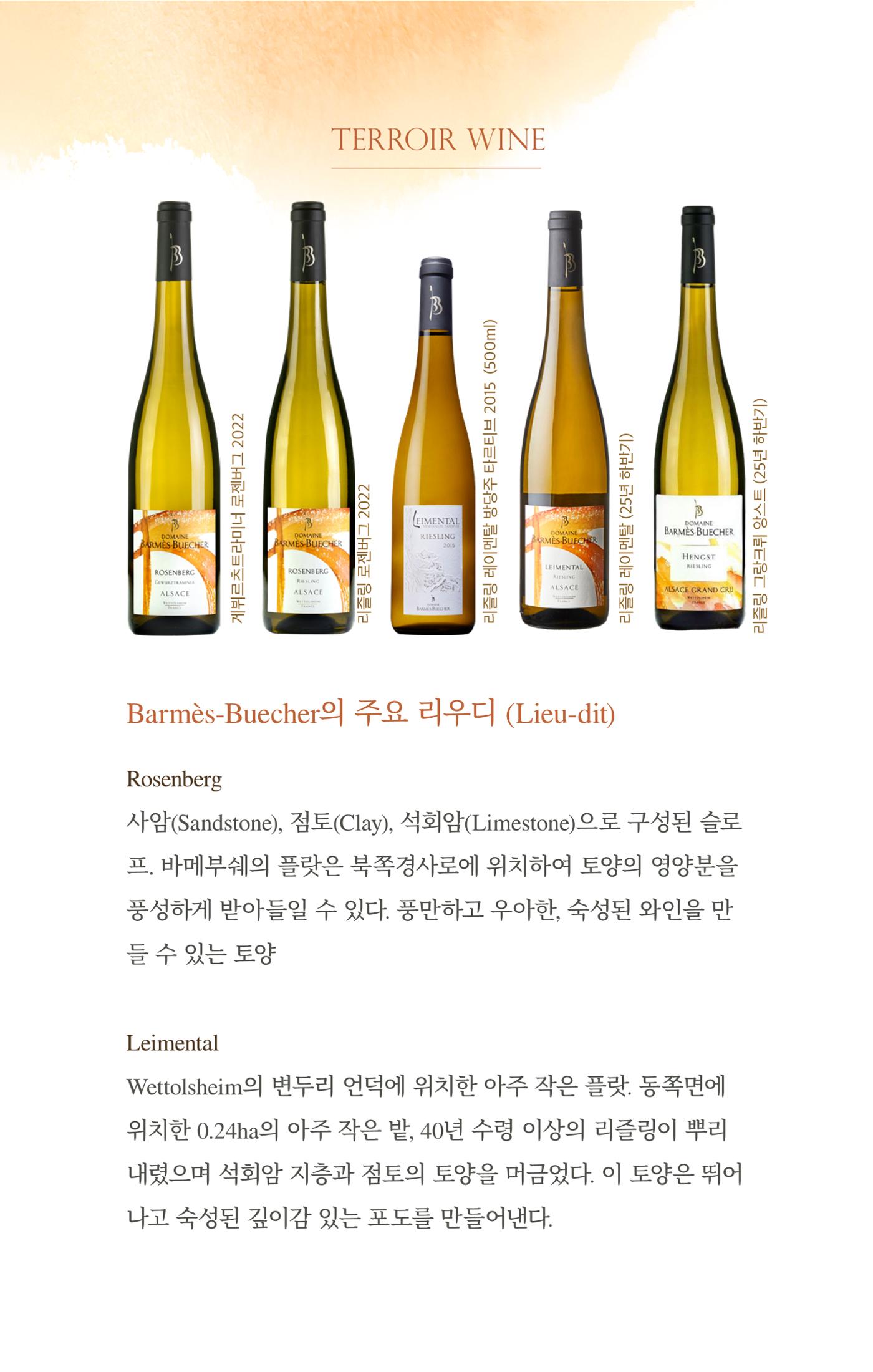 동원와인플러스 뉴스레터 12월호🎄 17p