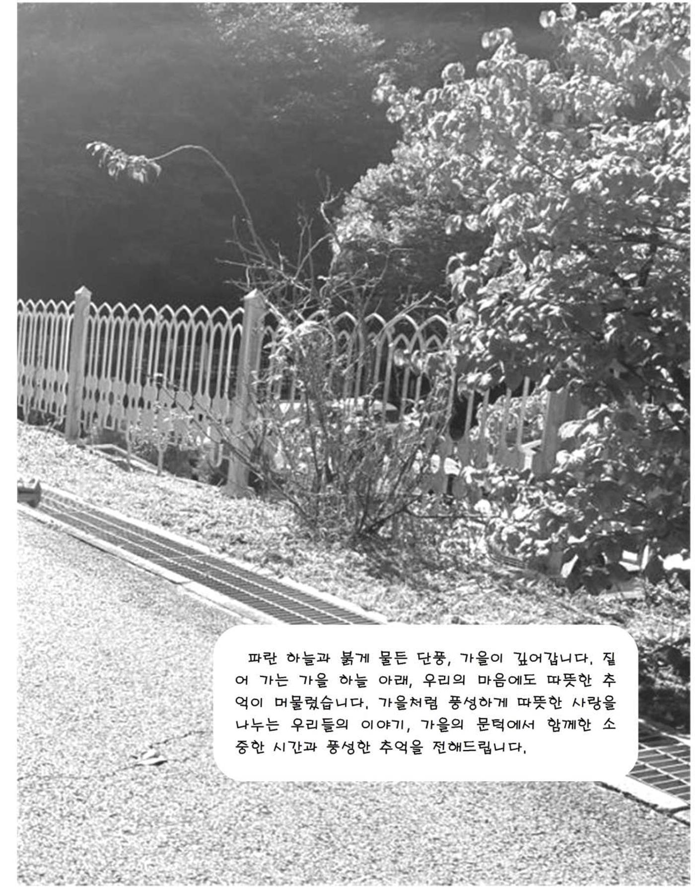 김옥이재단 소식지 통권134 가을호 7페이지
