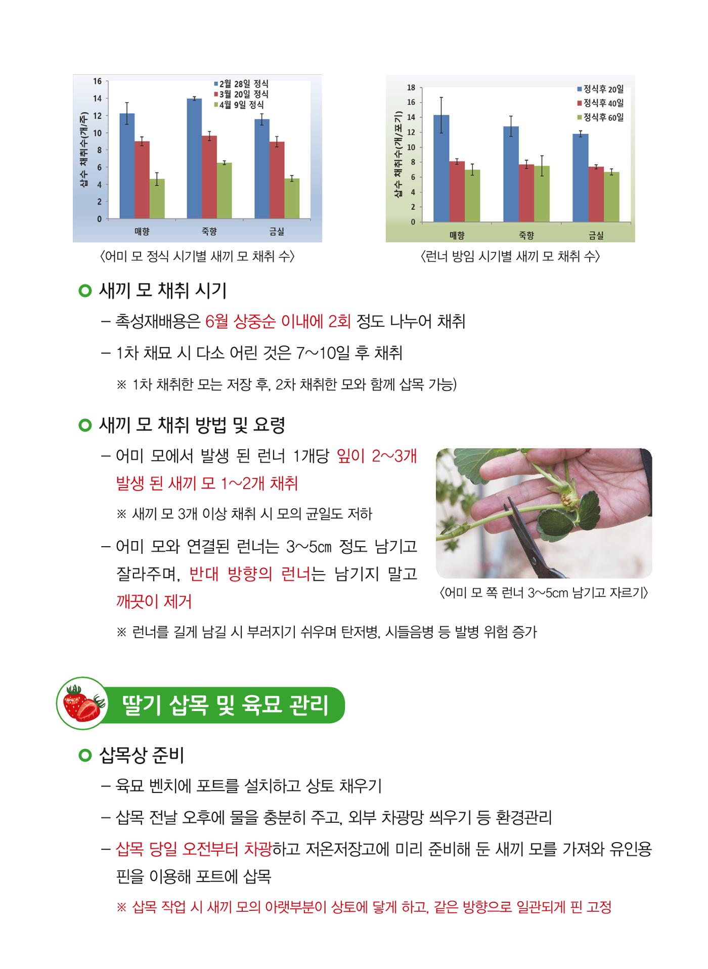고품질 딸기 생산 재배력 2페이지