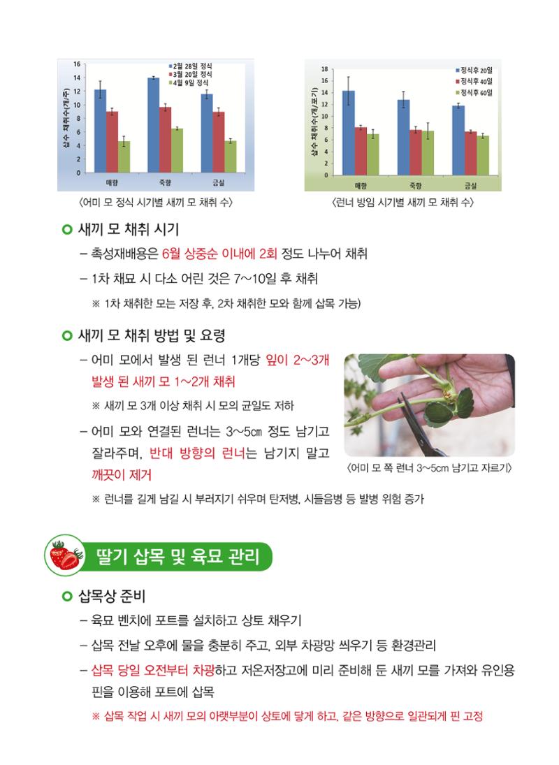 고품질 딸기 생산 재배력 2페이지
