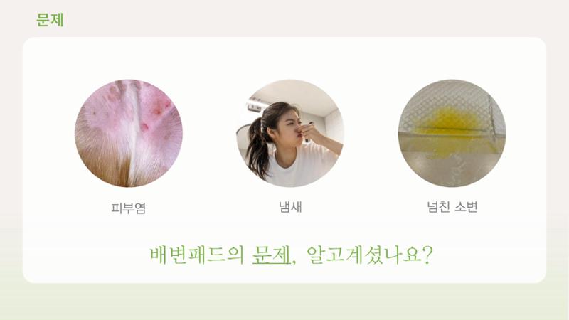 01. 강유림, 정유민_Pet Dard 4페이지
