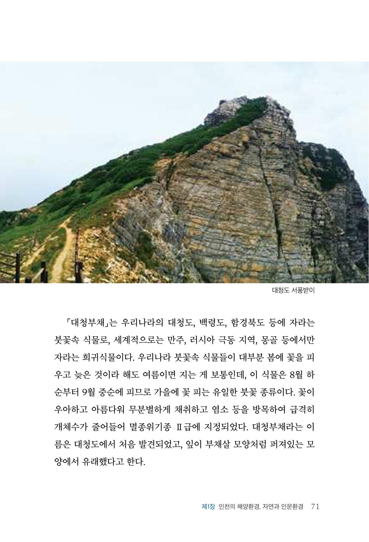 인천시청 인천광역시사 제15호 72페이지