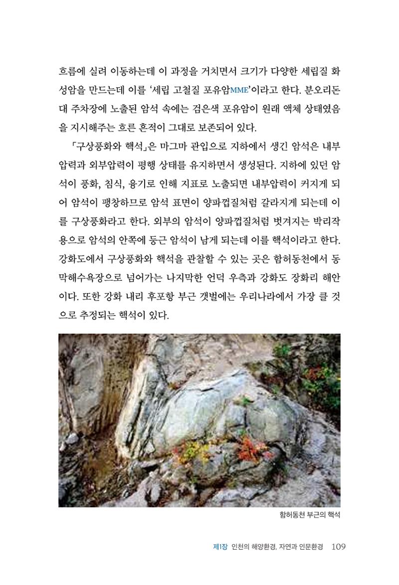 인천시청 인천광역시사 제15호 110페이지