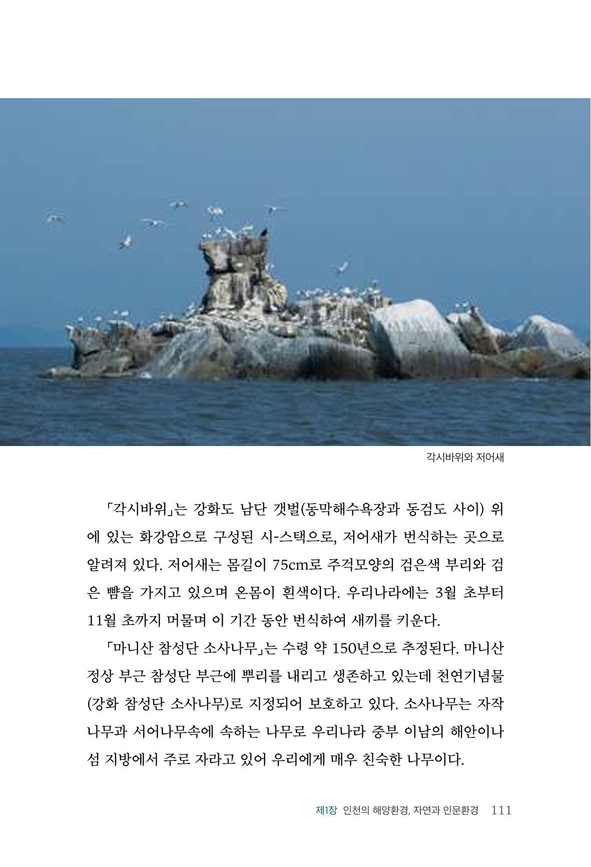 인천시청 인천광역시사 제15호 112페이지