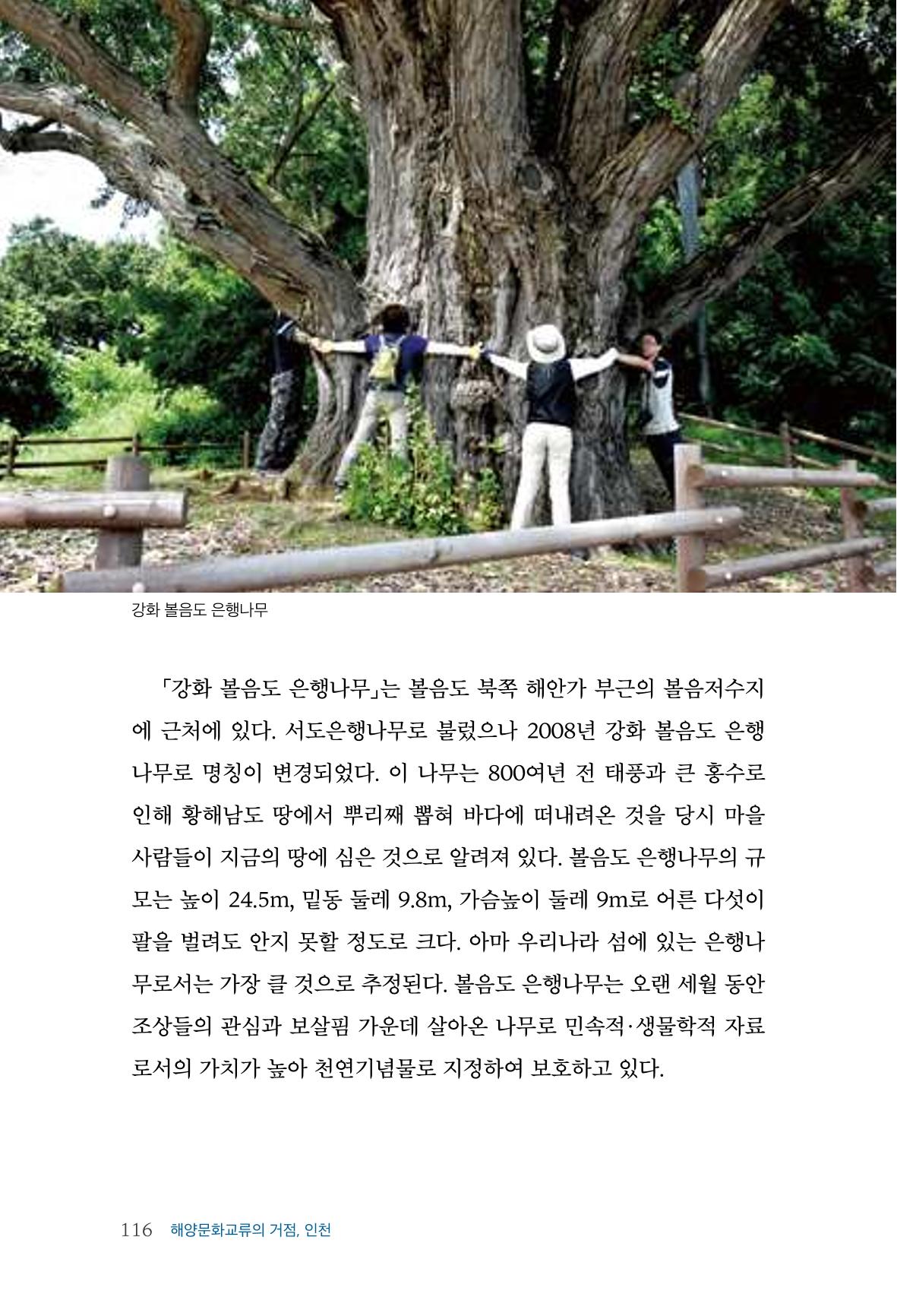 인천시청 인천광역시사 제15호 117페이지