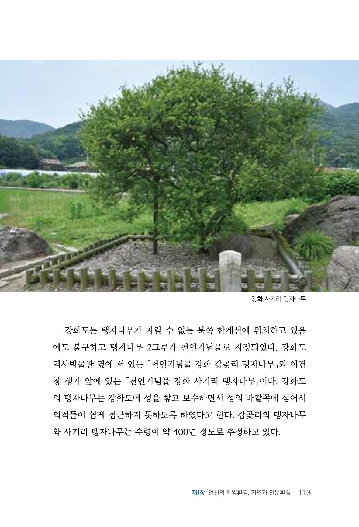 인천시청 인천광역시사 제15호 114페이지