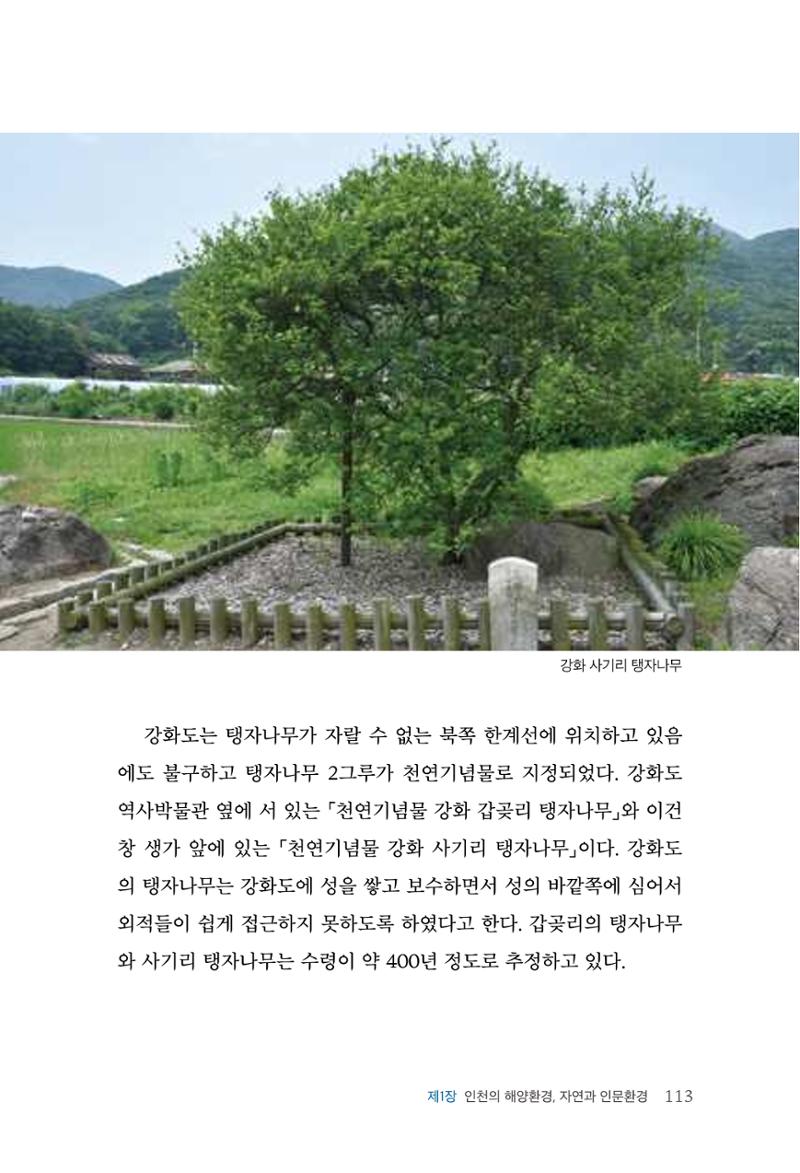 인천시청 인천광역시사 제15호 114페이지