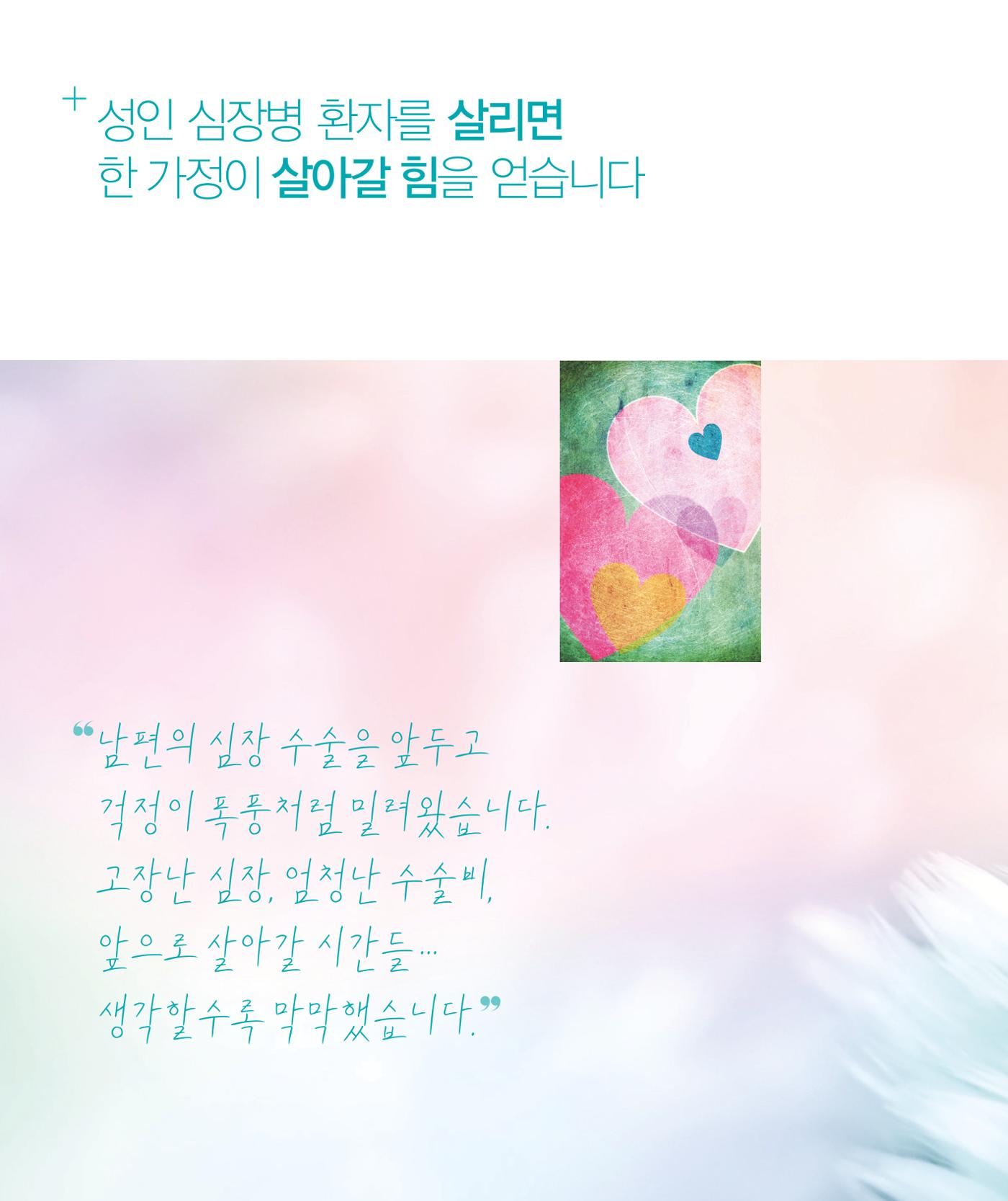 한국심장재단 모금안내서 12페이지