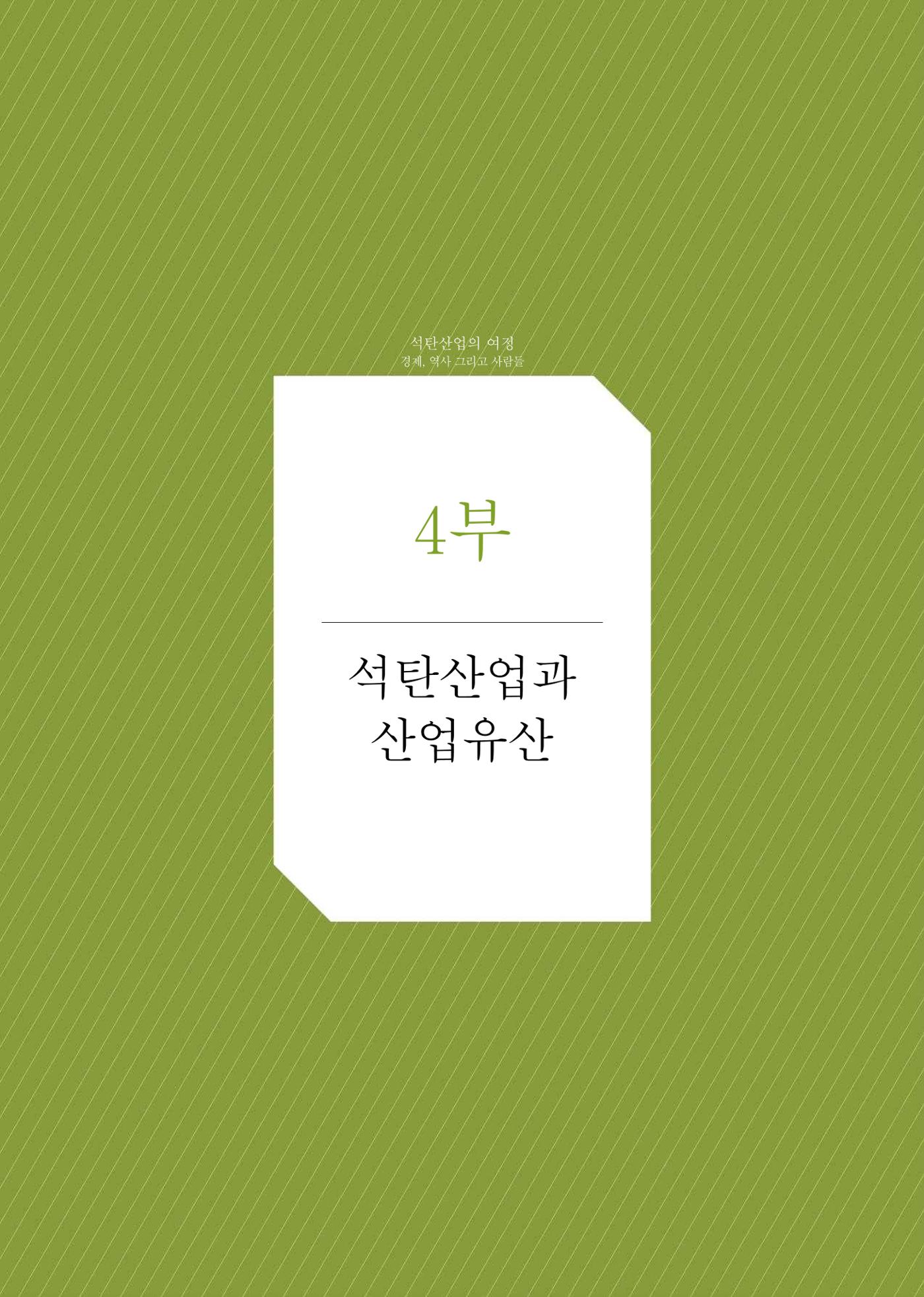 석탄산업의 여정 325페이지