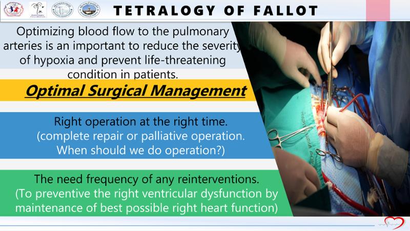 2025 Pediatric Heart Forum Presentation 230페이지