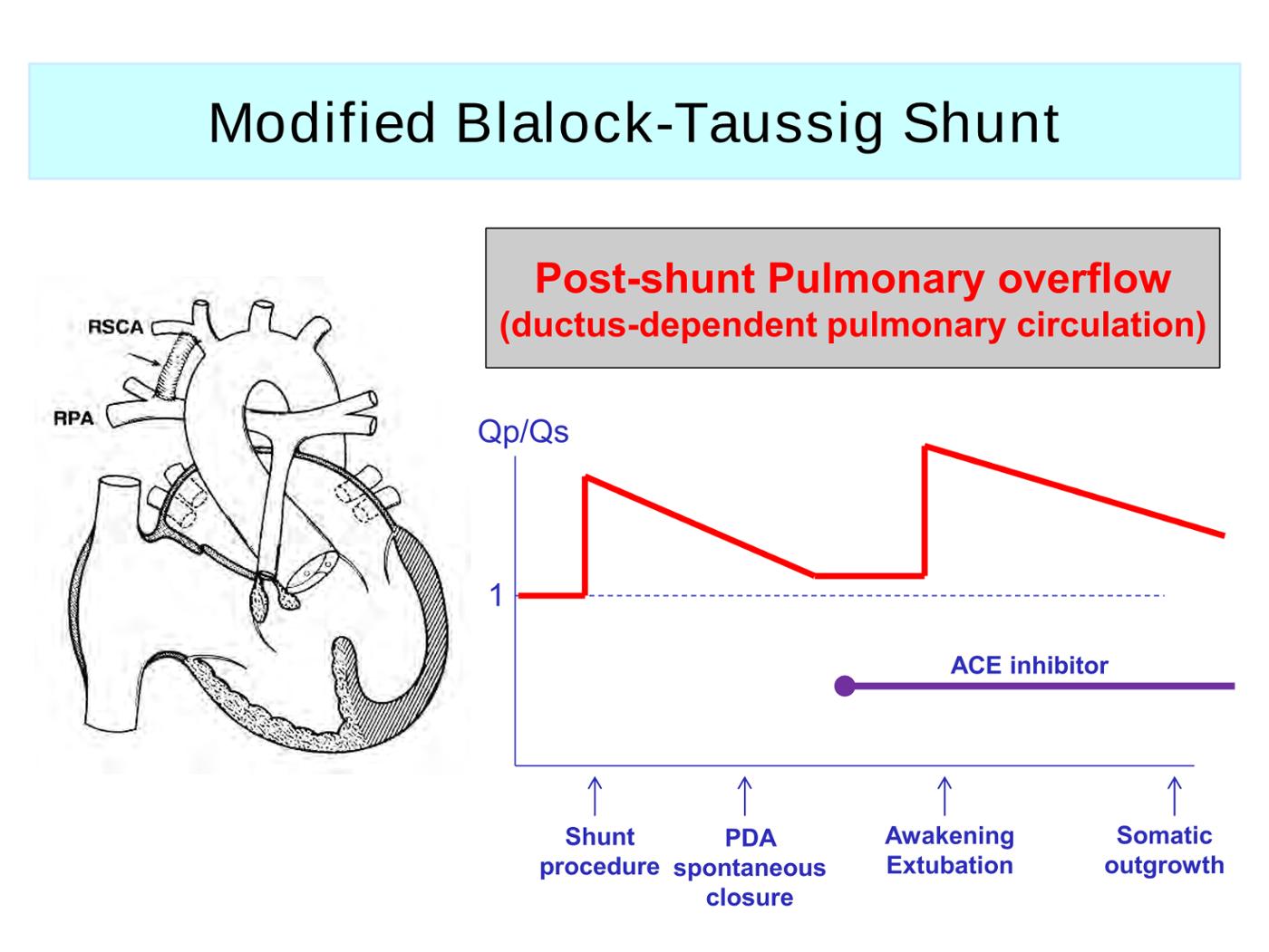 2025 Pediatric Heart Forum Presentation 285페이지