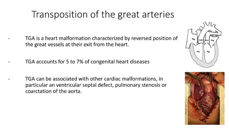2025 Pediatric Heart Forum Presentation 390페이지