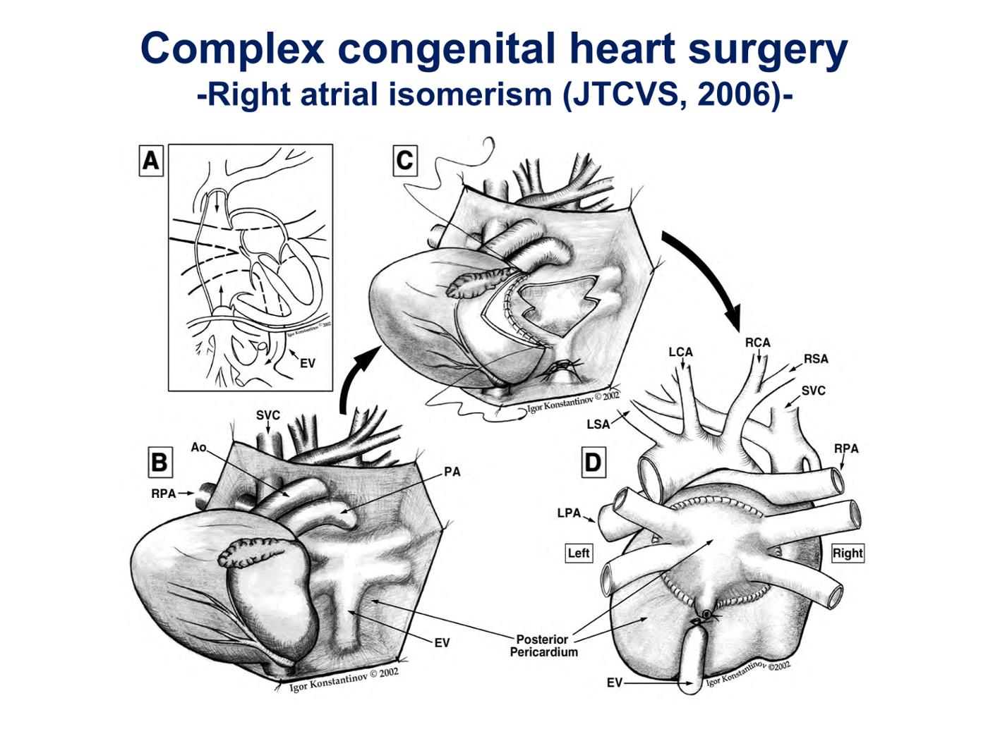 2025 Pediatric Heart Forum Presentation 255페이지