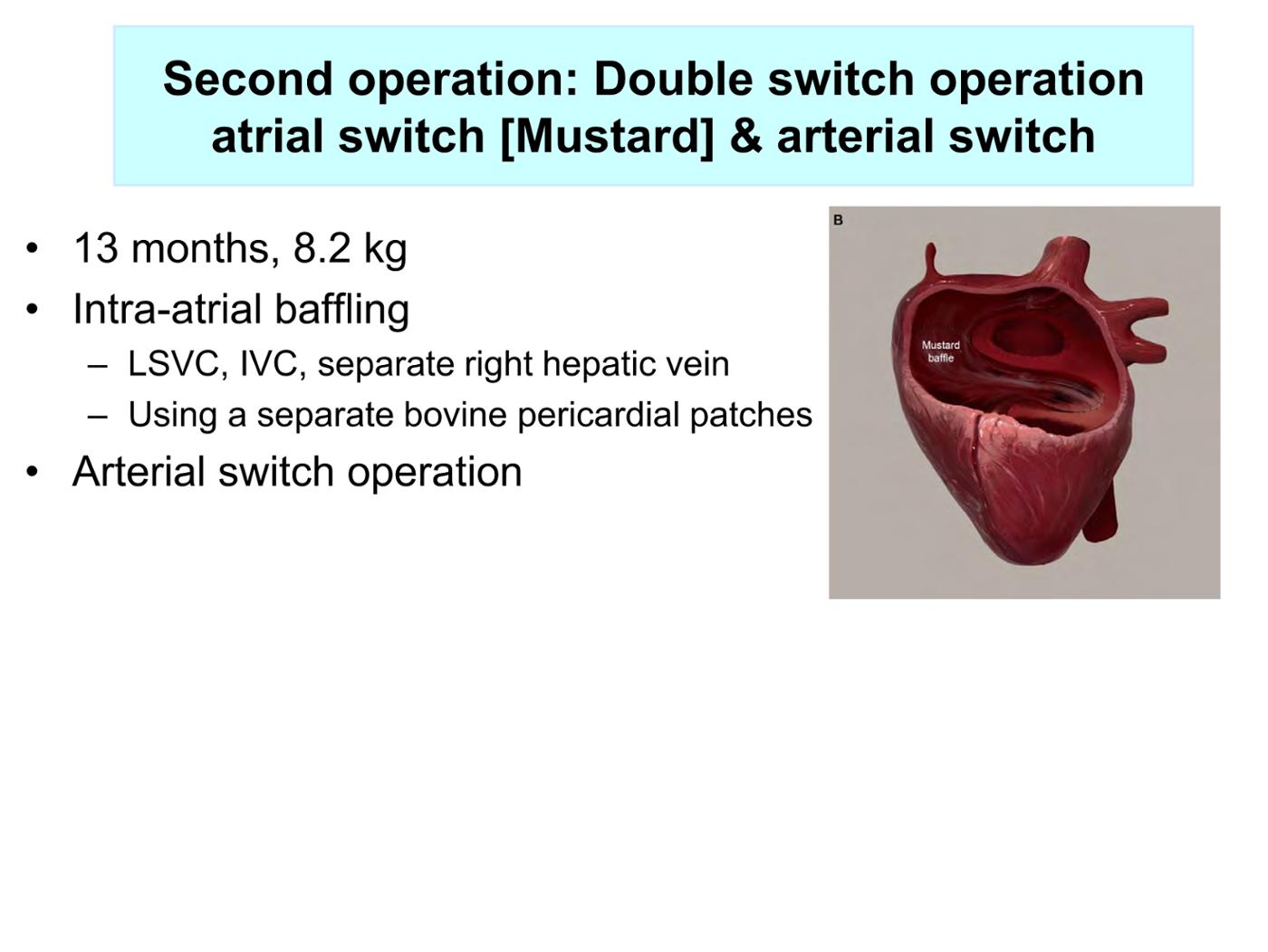 2025 Pediatric Heart Forum Presentation 264페이지