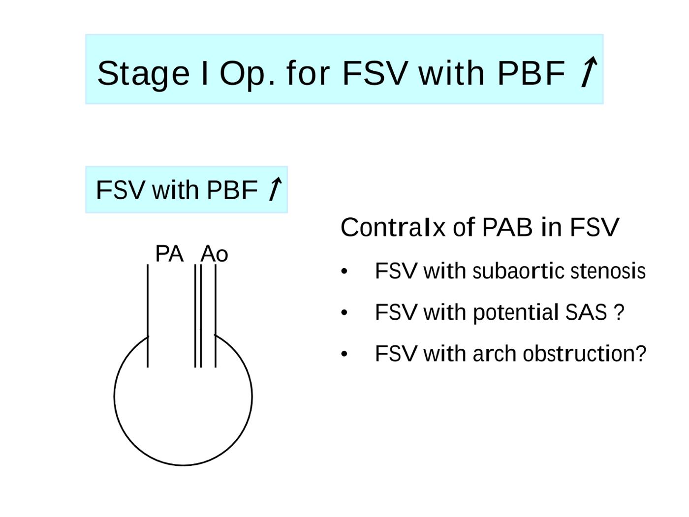 2025 Pediatric Heart Forum Presentation 309페이지