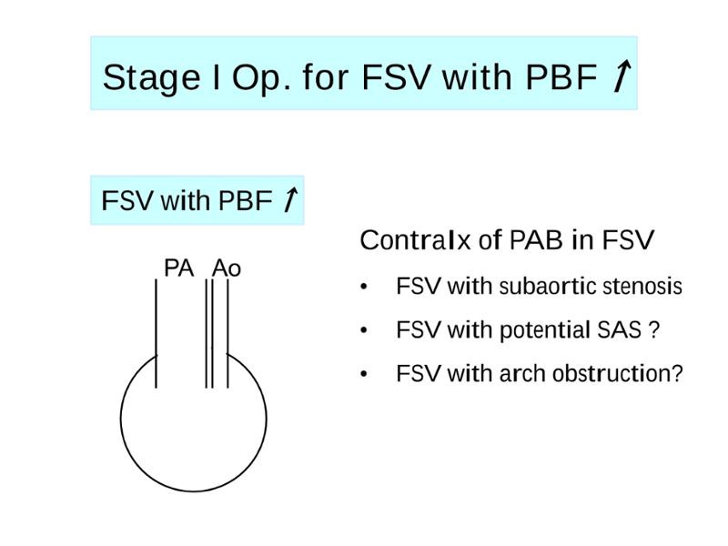 2025 Pediatric Heart Forum Presentation 309페이지