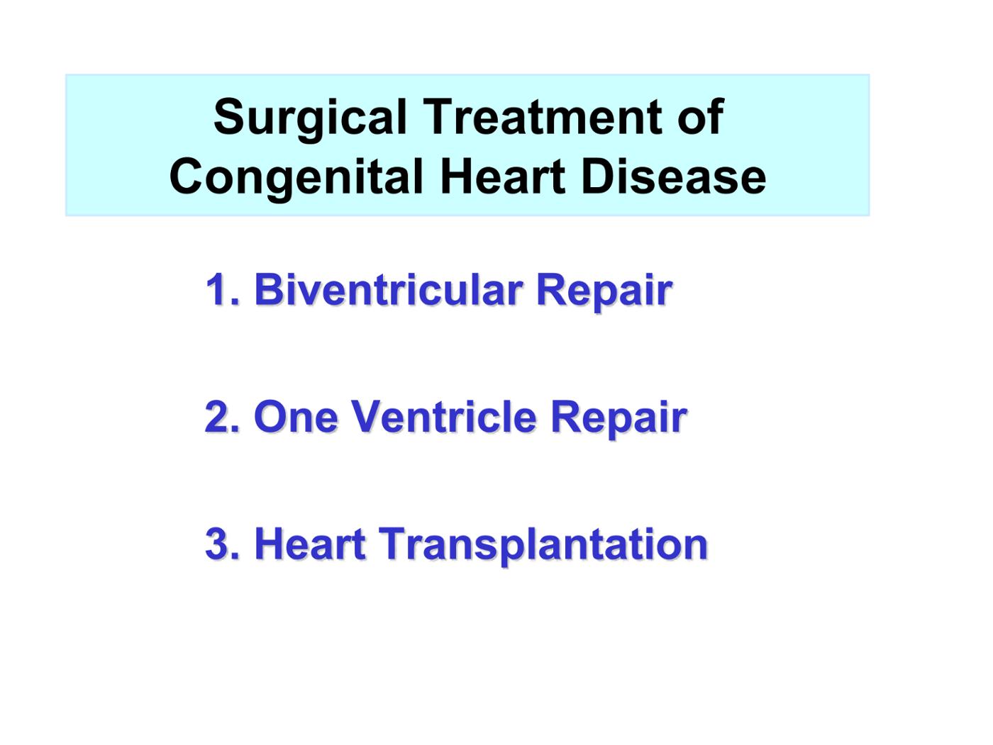 2025 Pediatric Heart Forum Presentation 293페이지