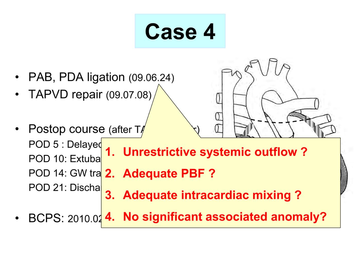 2025 Pediatric Heart Forum Presentation 343페이지