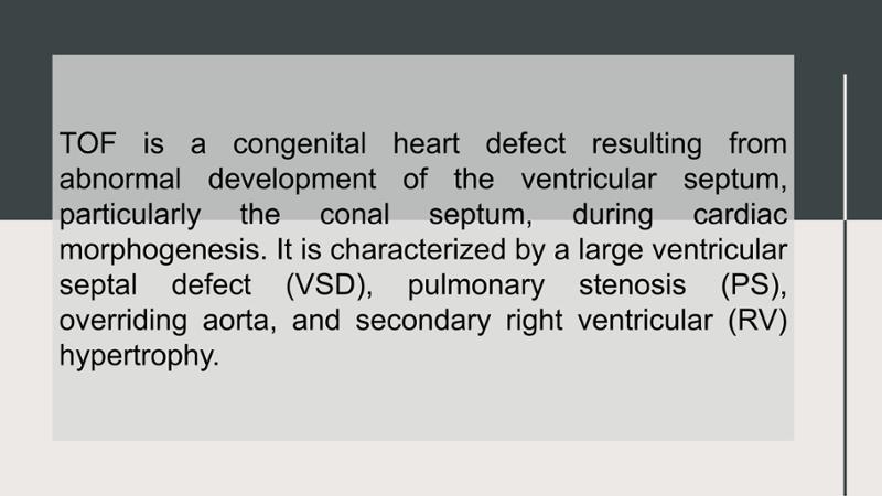 2025 Pediatric Heart Forum Presentation 179페이지