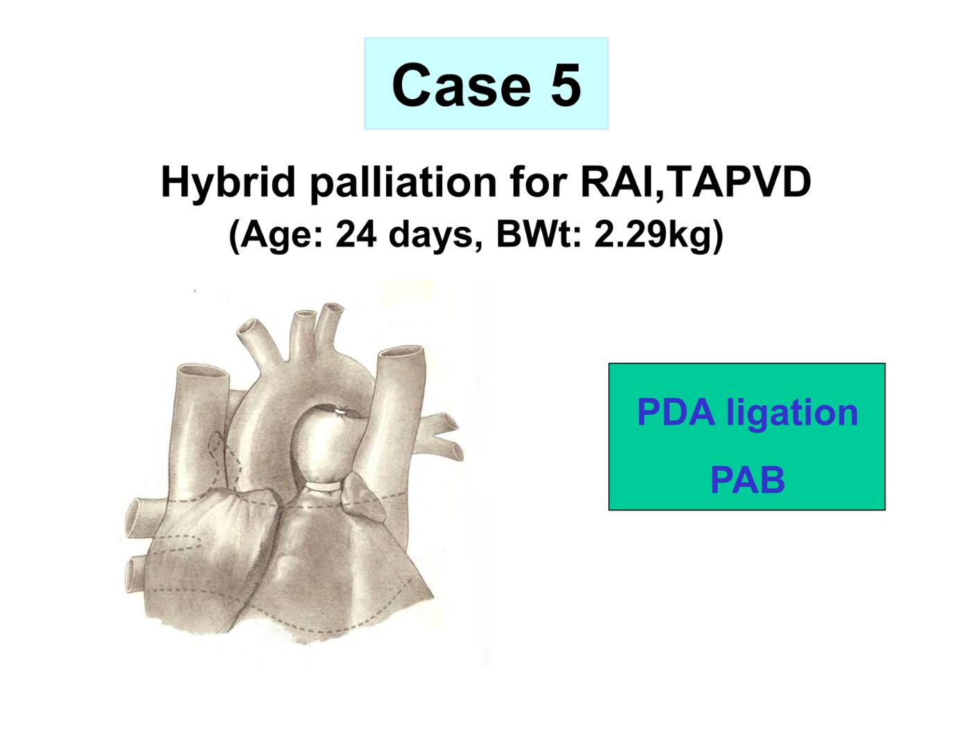 2025 Pediatric Heart Forum Presentation 350페이지