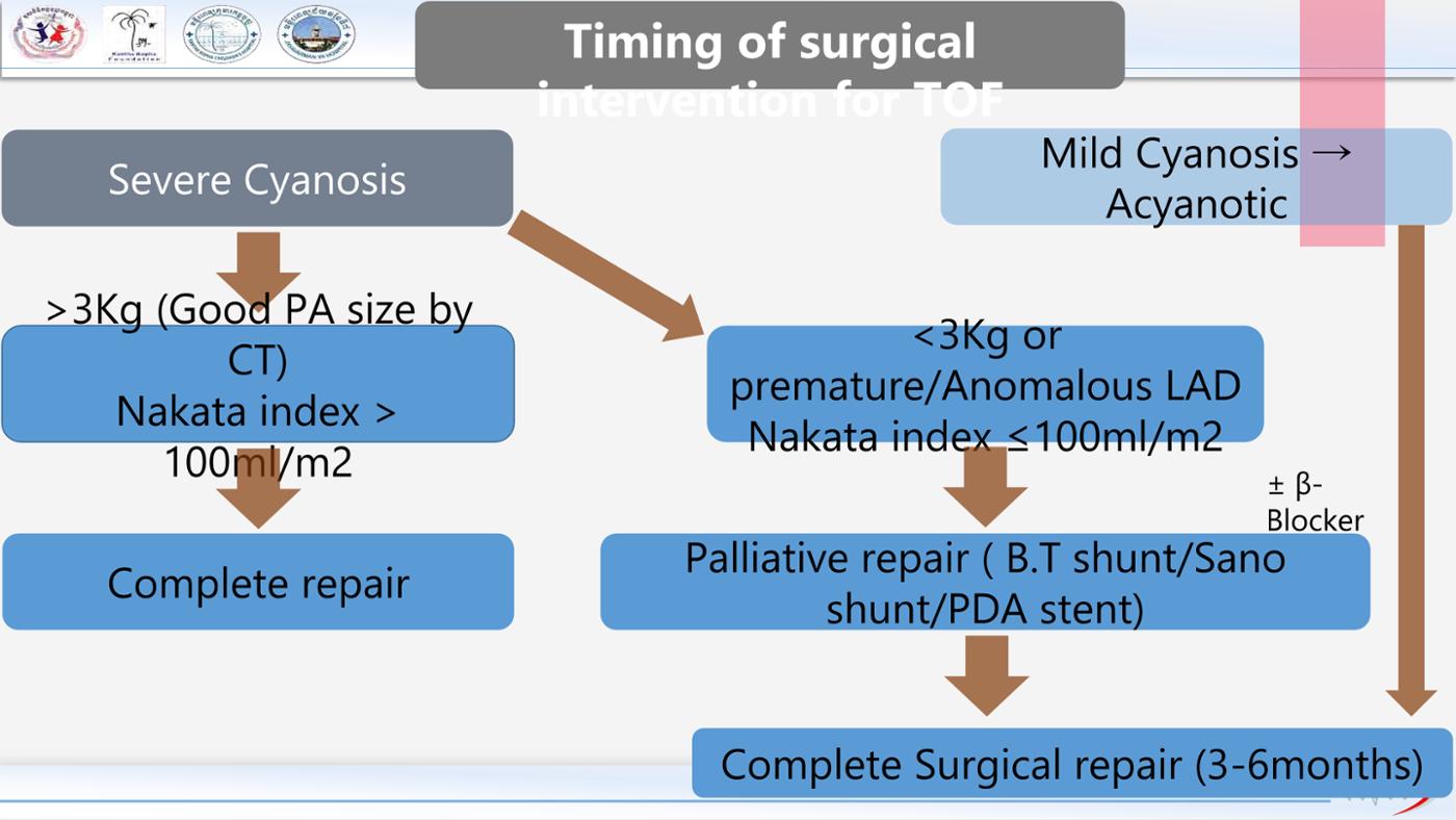 2025 Pediatric Heart Forum Presentation 231페이지