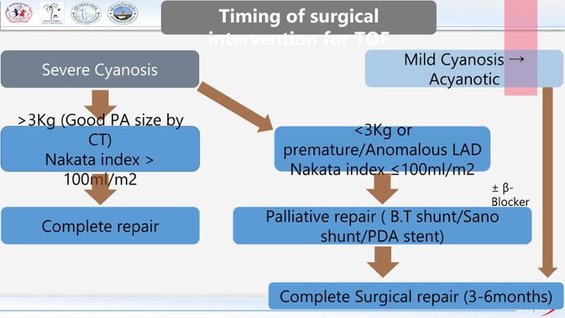 2025 Pediatric Heart Forum Presentation 231페이지