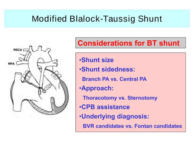 2025 Pediatric Heart Forum Presentation 281페이지