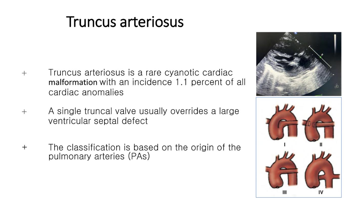 2025 Pediatric Heart Forum Presentation 380페이지